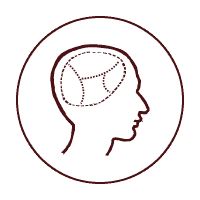 Mayfield Medical Connection Psychology image. Symbolic drawing of a brain inside a persons head. Medical Centre, Newcastle Doctors, GP Newcastle.